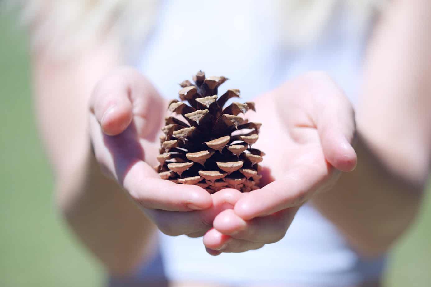 The Gift-Giving Guide for Minimalists