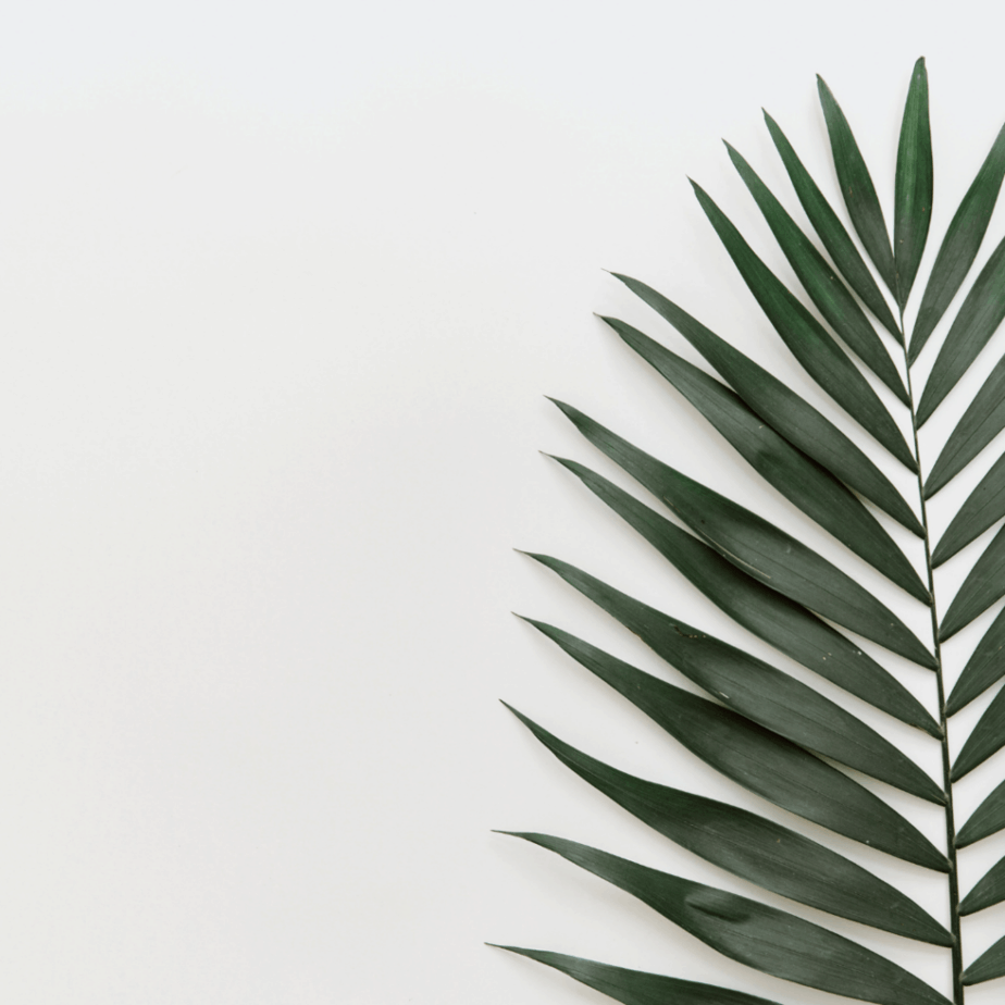 27 Inspiring Minimalist Blogs You Must Read in 2024 Minimalism Made