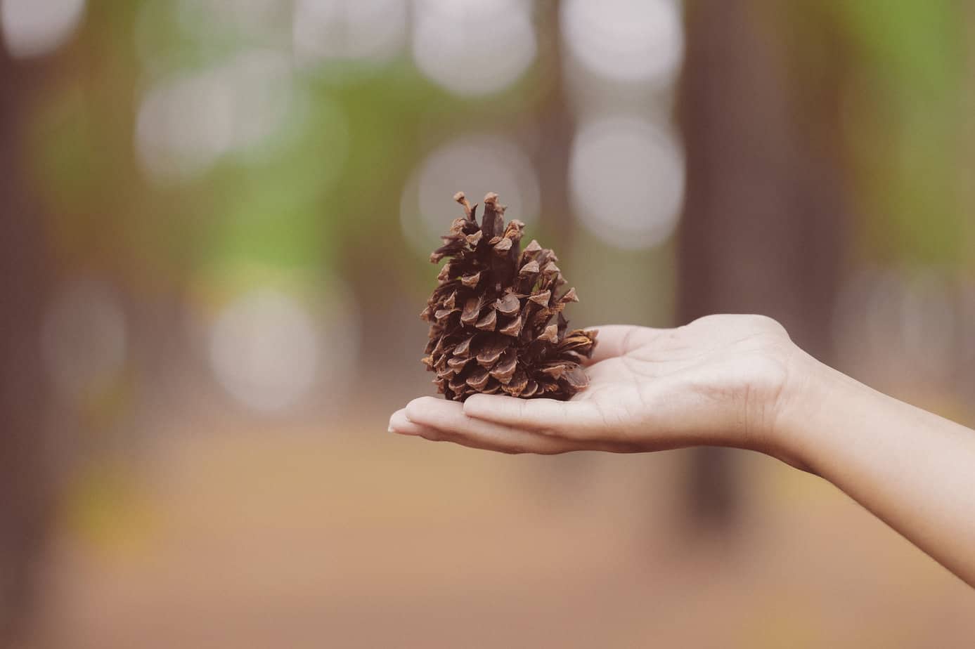 7 Ways to Conquer Gift Guilt