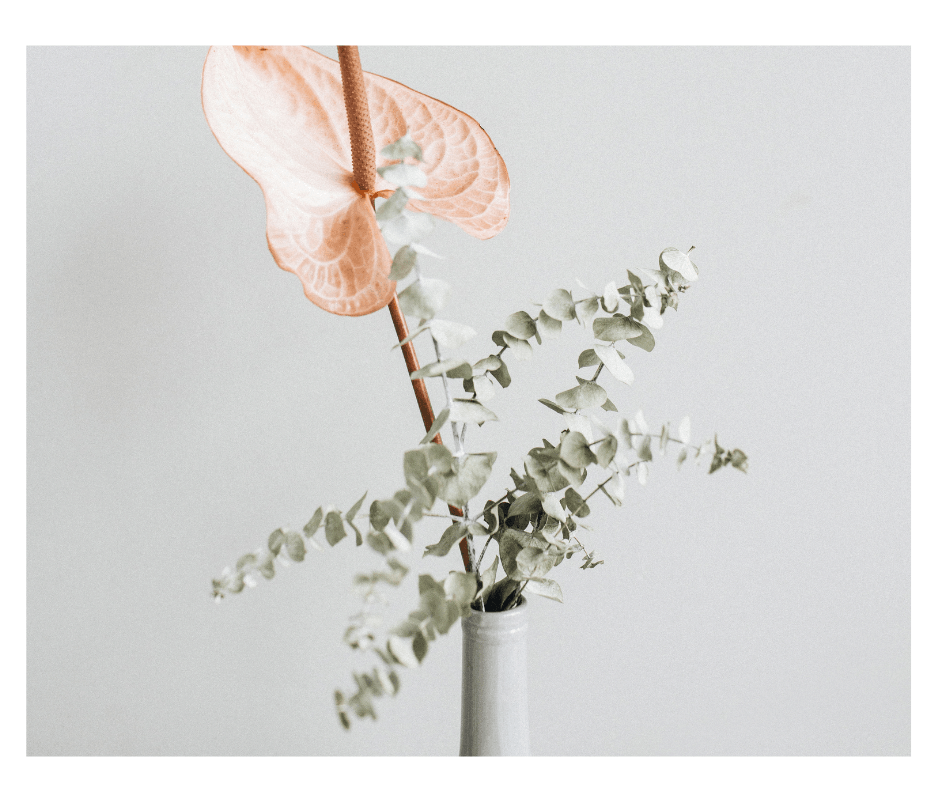 10 Captivating Reasons Why Simple is Best