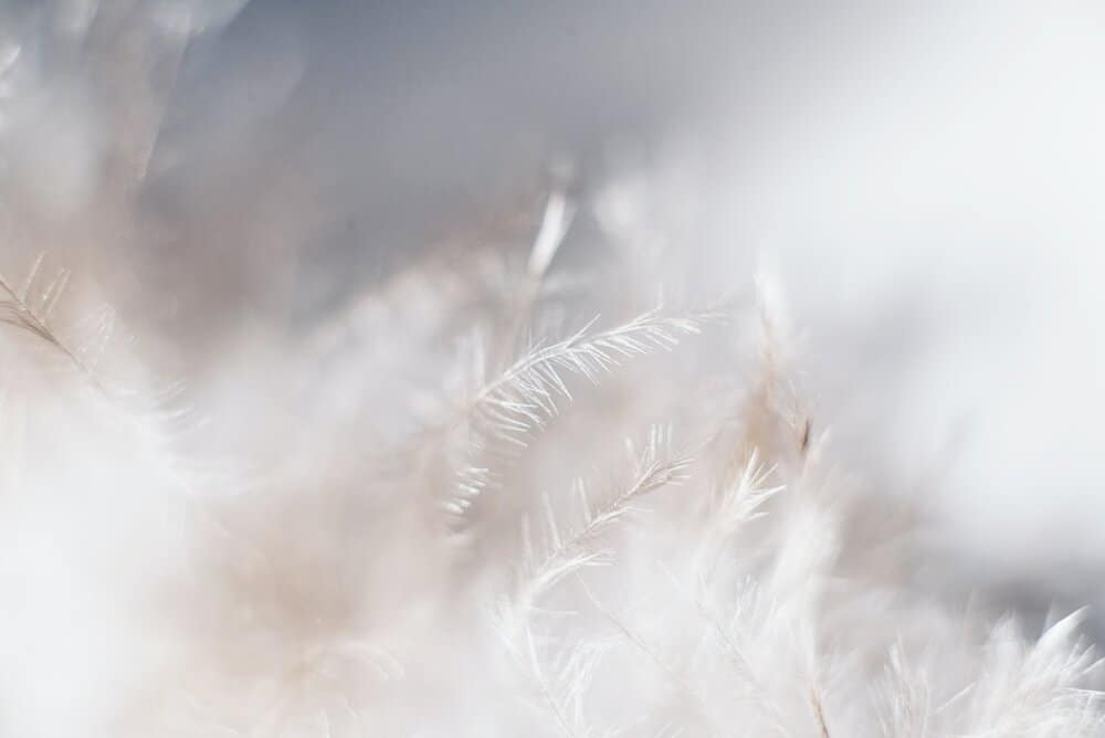 15 Spiritual Goals To Uplift Your Life Today