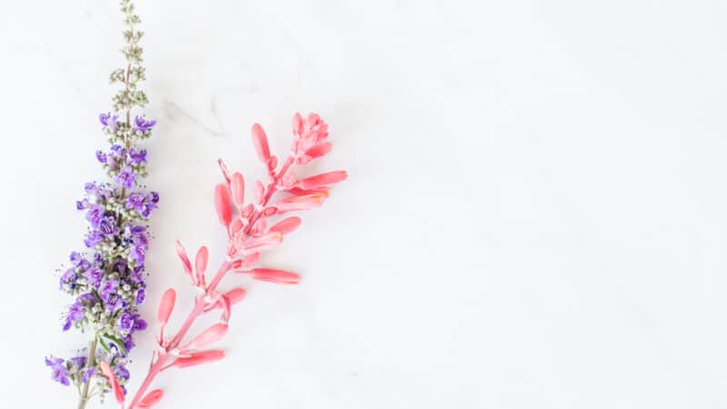 10 Ideas to Create Sacred Space In Your Home
