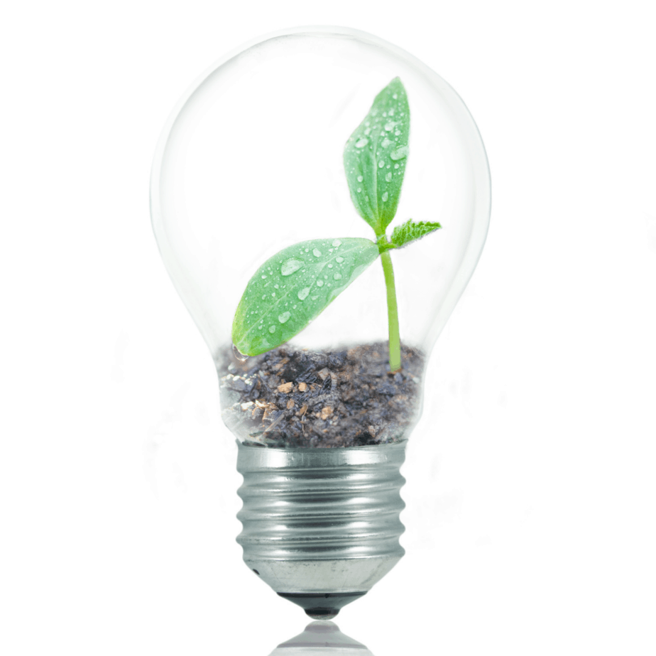 5 Safe and Eco-Friendly Options to Choose Today