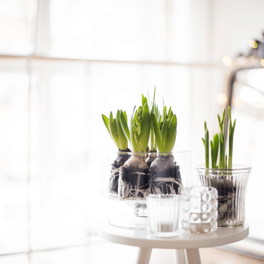 minimalist decor essentials