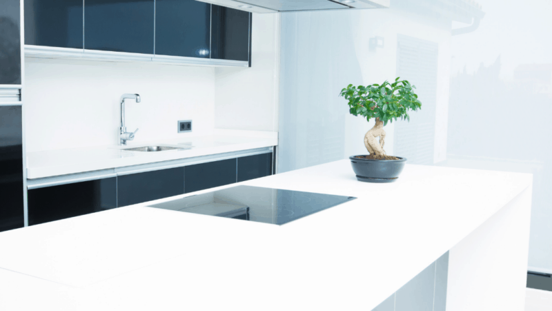 20 Minimalist Kitchen Essentials Every Minimalist Needs