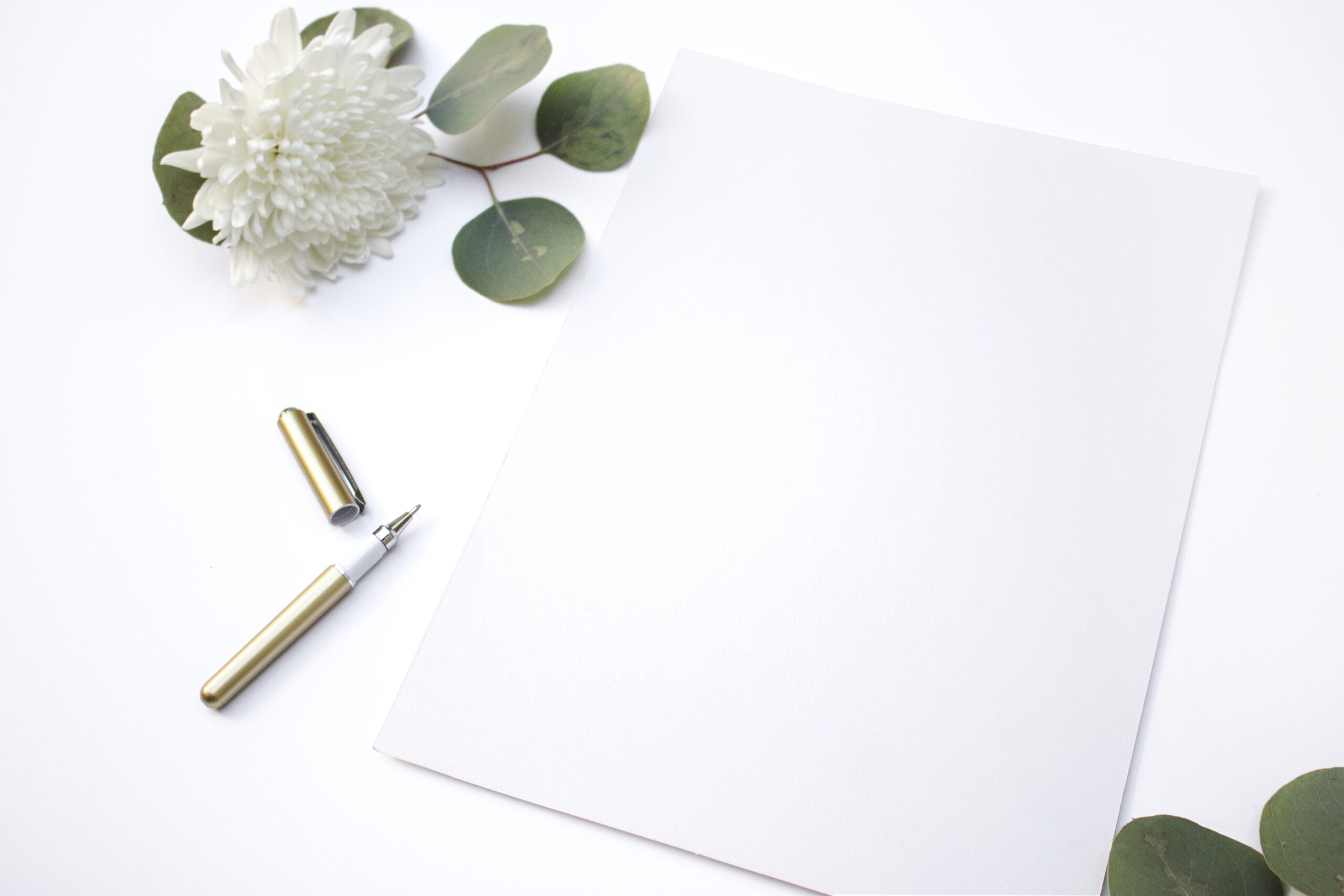 135 Words of Encouragement to Lift Your Spirits