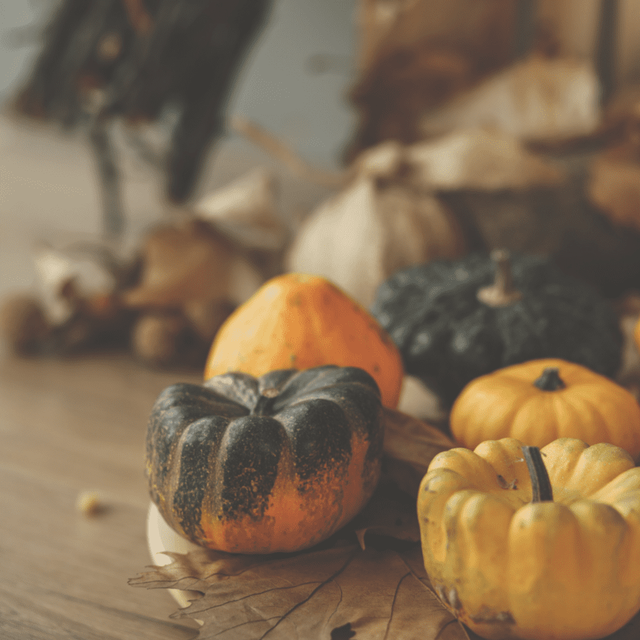 Everything you need for a fall aesthetic