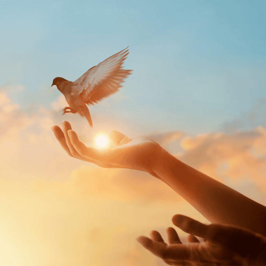 10 Sure Signs You Have a Pure Soul