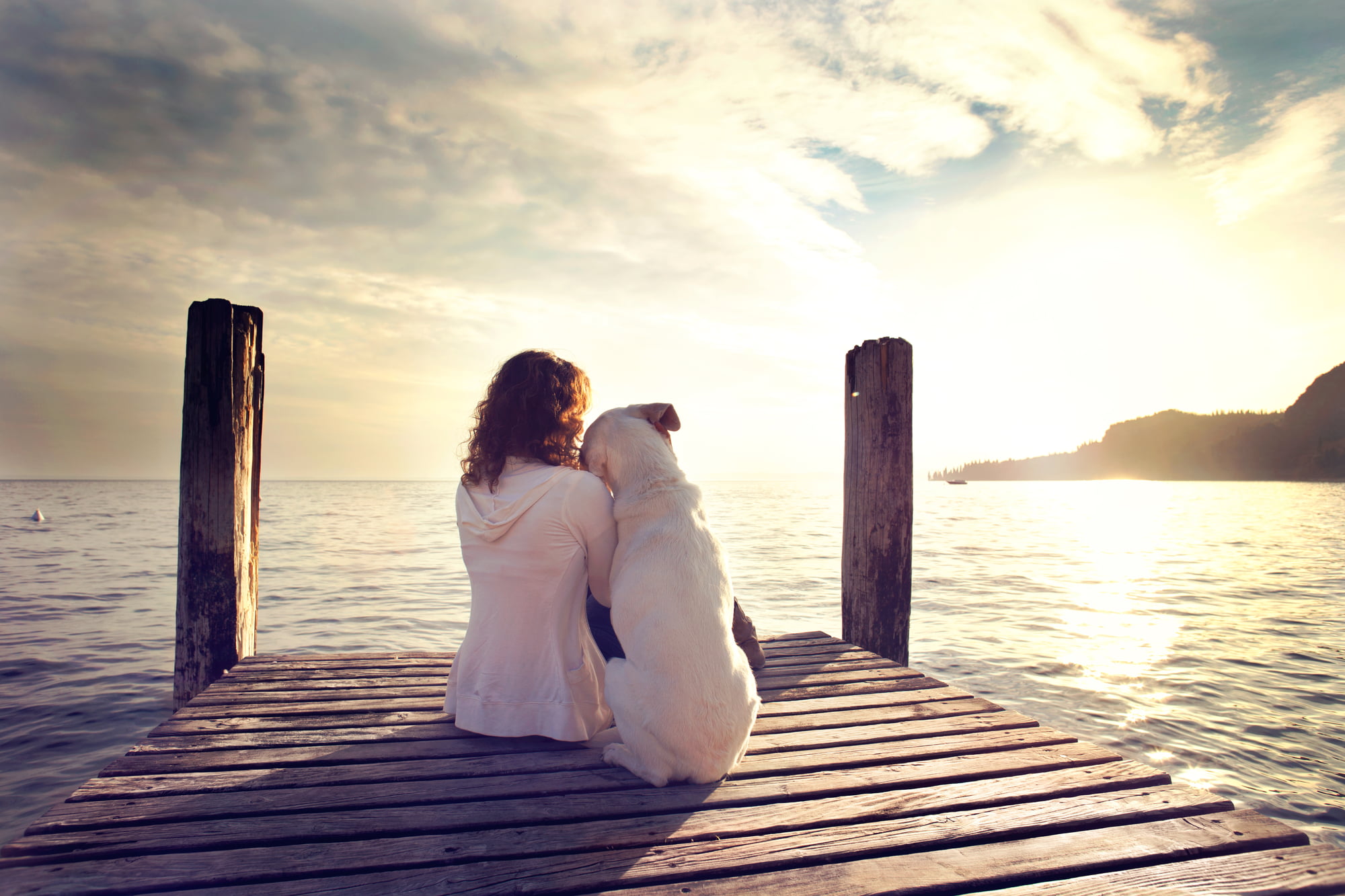 50 Powerful Quotes to Cultivate an Attitude of Gratitude