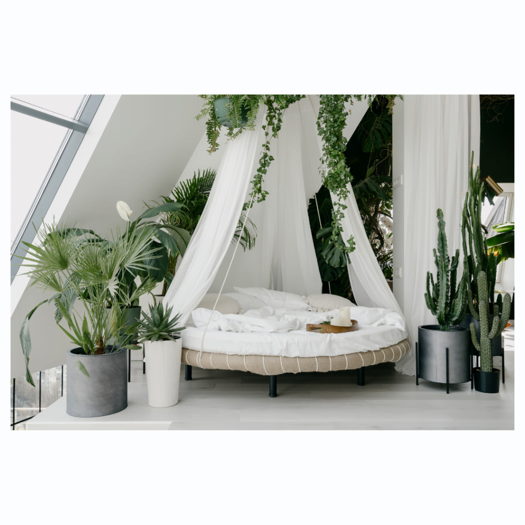 minimalist design childhood home